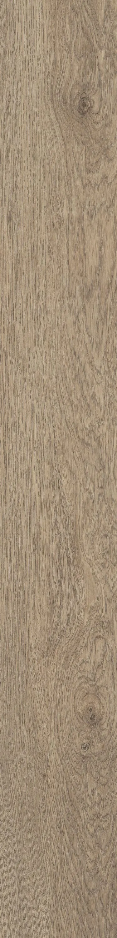Shaw Perennial Dublin Brown 6-mil x 6-in W x 48-in L Waterproof Glue Down Luxury Vinyl Plank Flooring (53.93-sq ft/ Carton), photo 4 of 8
