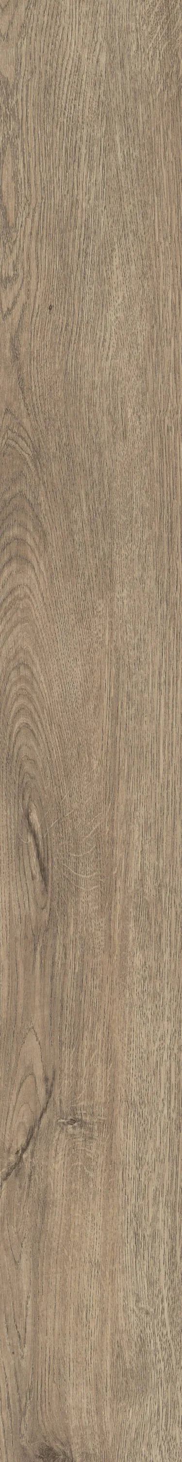 Shaw Perennial Dublin Brown 6-mil x 6-in W x 48-in L Waterproof Glue Down Luxury Vinyl Plank Flooring (53.93-sq ft/ Carton), photo 6 of 8