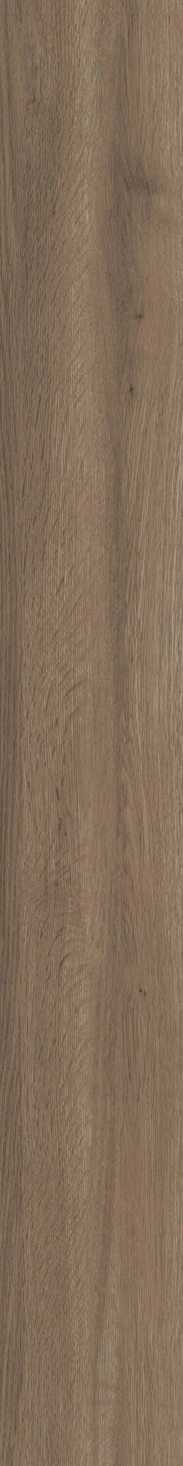 Shaw Perennial Peachtree Street Brown 6-mil x 6-in W x 48-in L Waterproof Glue Down Luxury Vinyl Plank Flooring (53.93-sq ft/ Carton), photo 6 of 8