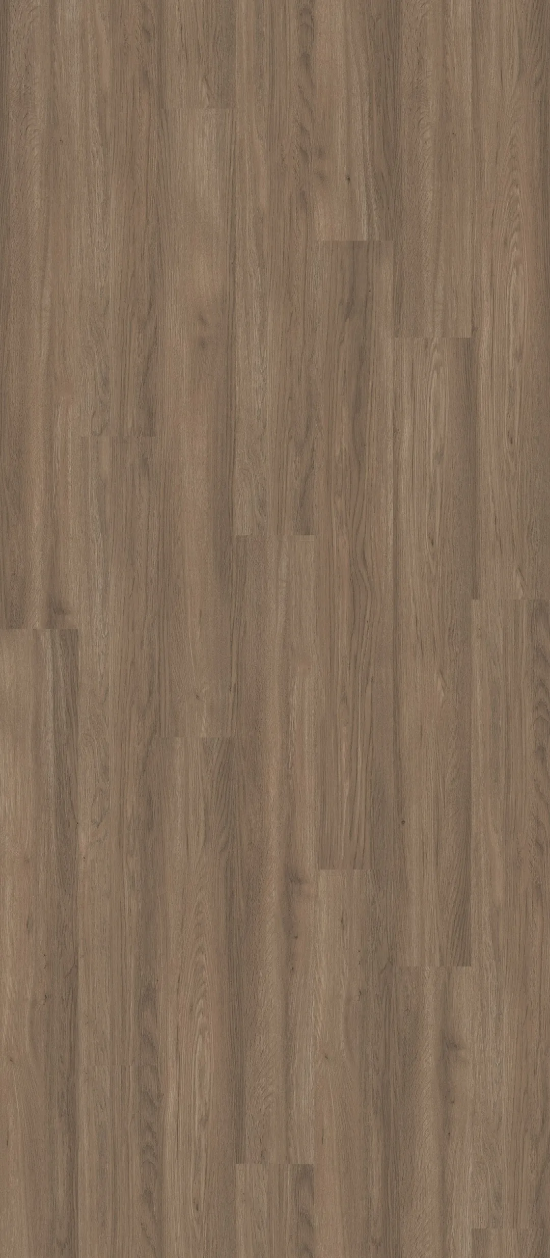 Shaw Perennial Peachtree Street Brown 6-mil x 6-in W x 48-in L Waterproof Glue Down Luxury Vinyl Plank Flooring (53.93-sq ft/ Carton), photo 3 of 8