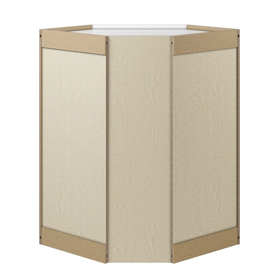 Whalen CLICK-IT Enfield 24-in W x 36-in H x 24-in D Classic White Birch Diagonal Corner Wall Ready To Assemble Plywood Cabinet (Raised Panel Shaker Style), photo 5 of 10