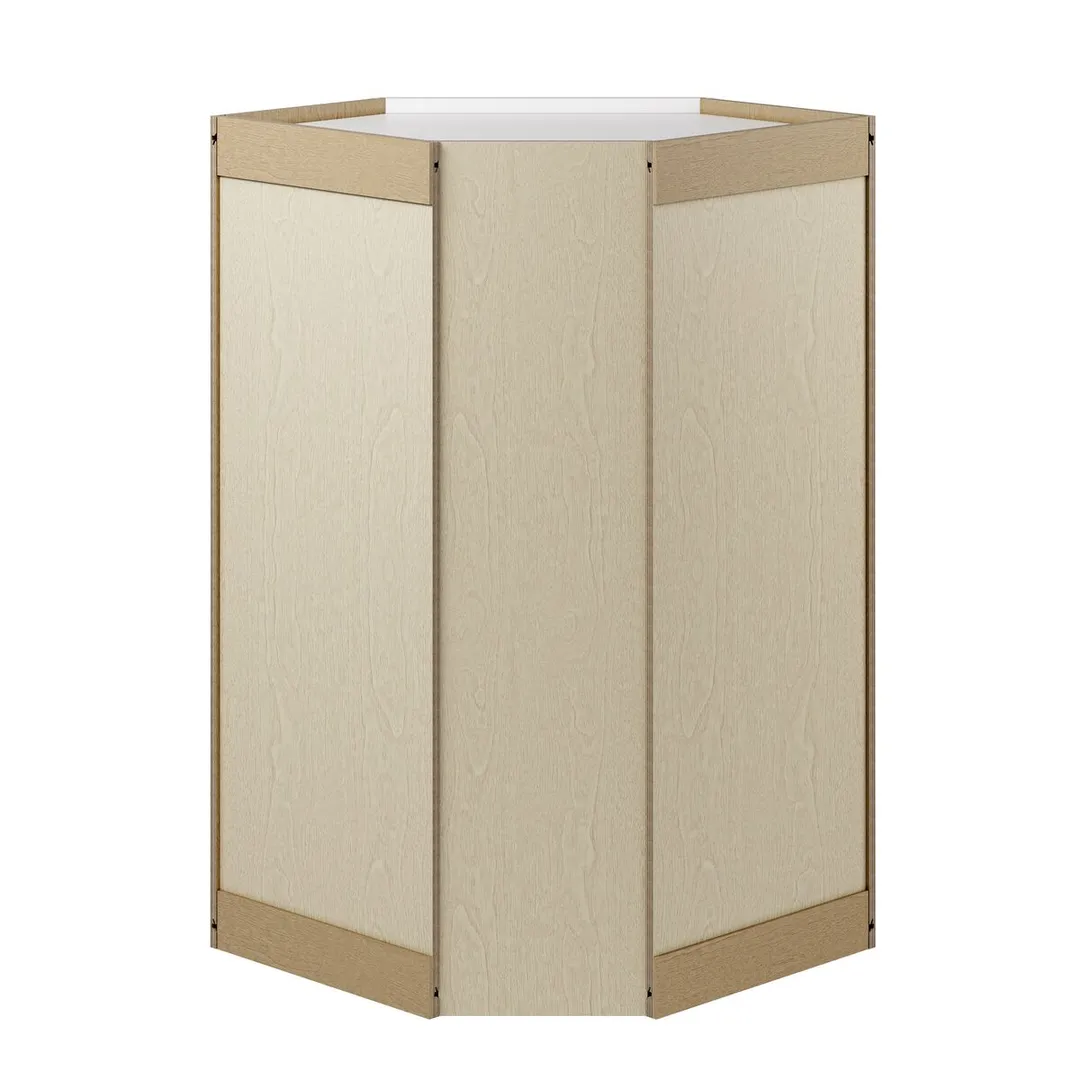 Whalen CLICK-IT Enfield 24-in W x 42-in H x 24-in D Classic White Birch Diagonal Corner Wall Ready To Assemble Plywood Cabinet (Raised Panel Shaker Style), photo 5 of 11
