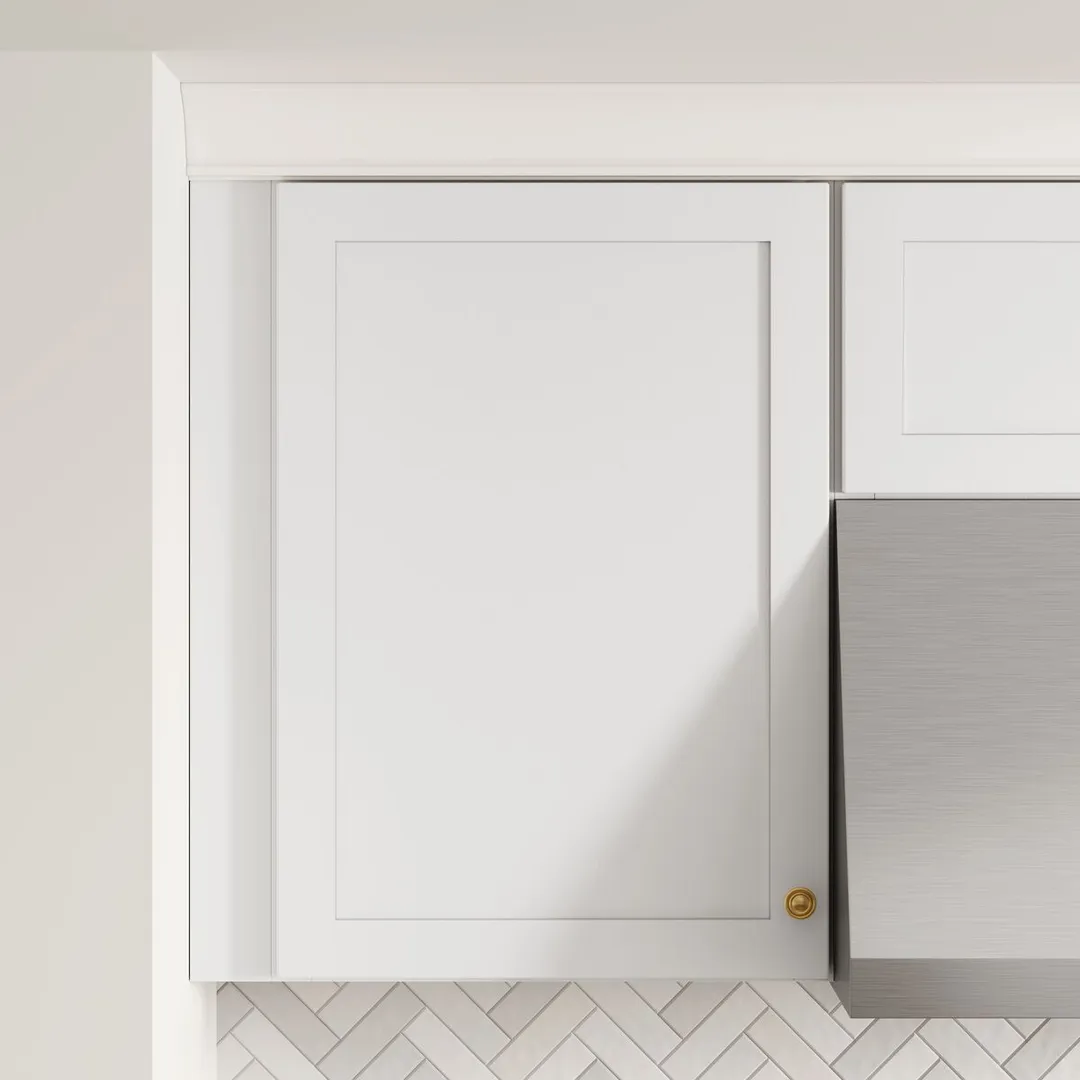 Whalen CLICK-IT Enfield 21-in W x 30-in H x 12-in D Classic White Birch Wall Ready To Assemble Plywood Cabinet (Raised Panel Shaker Door Style), photo 5 of 13