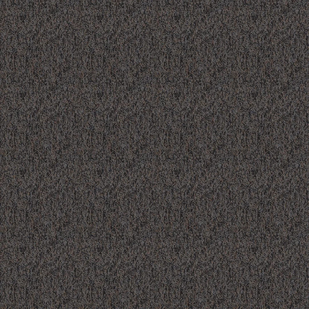 Shaw Timely 24-in x 24-in Invest Gray Commercial Adhesive Indoor Carpet Tile ( 48-sq ft ), photo 3 of 12