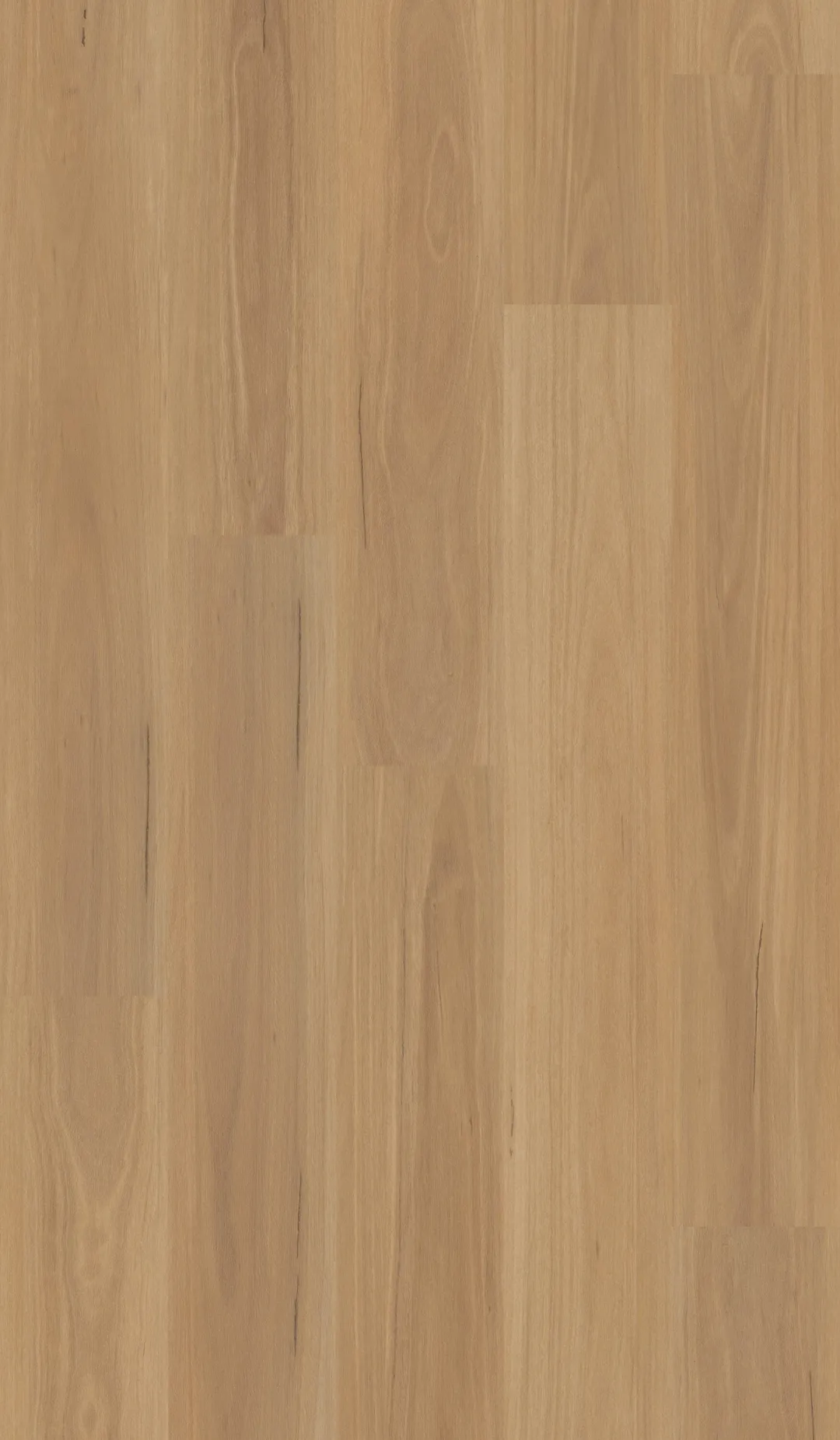 Shaw Brillance Plus Basil Brown 12-mil x 7-in W x 48-in L Waterproof Interlocking Luxury Vinyl Plank Flooring (23.64-sq ft/ Carton), photo 3 of 7