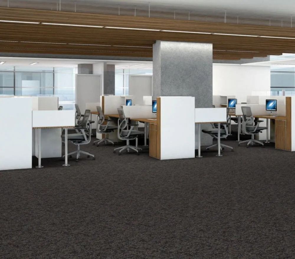 Shaw Timely 24-in x 24-in Invest Gray Commercial Adhesive Indoor Carpet Tile ( 48-sq ft ), photo 6 of 12