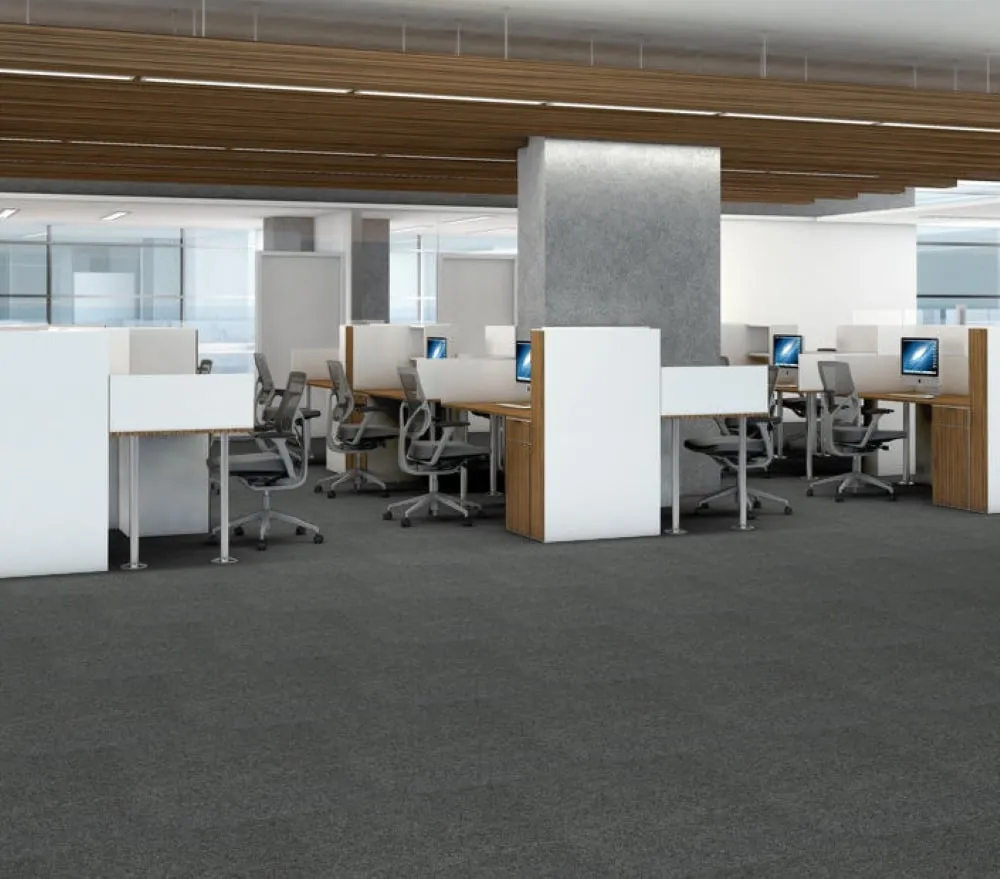 Shaw Silent 24-in x 24-in Luna Gray Commercial Adhesive Indoor Carpet Tile ( 48-sq ft ), photo 2 of 11