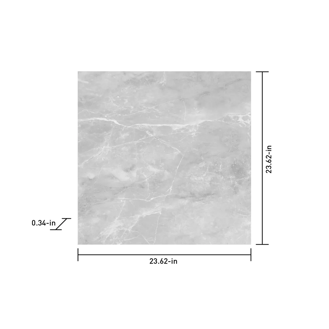 Satori Eden Ice 24-in x 24-in Polished Porcelain Wall Tile (3.87-sq. ft/ Piece), photo 6 of 10