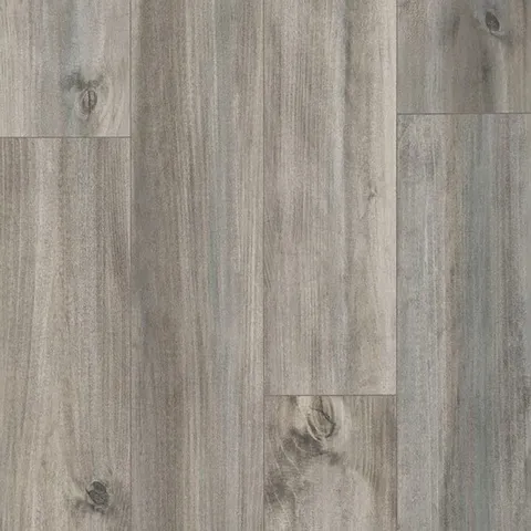 Ash Maple