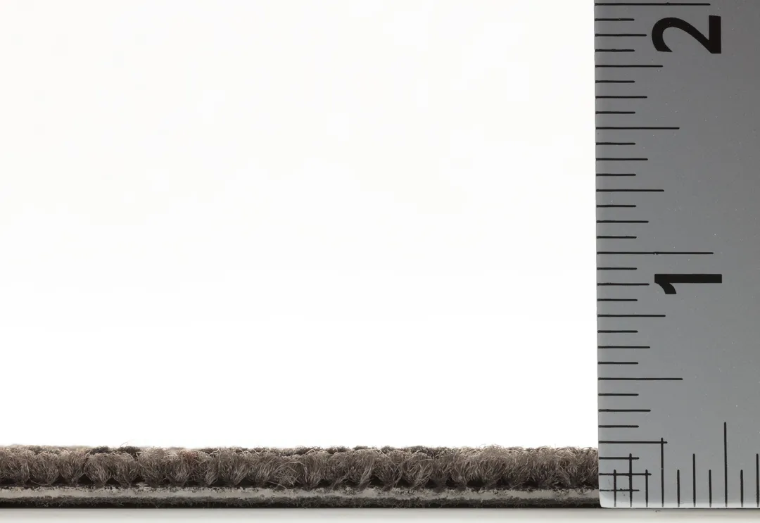 Shaw Scarlett 18-in x 36-in Storm Gray Commercial Adhesive Indoor Carpet Tile ( 63-sq ft ), photo 6 of 10