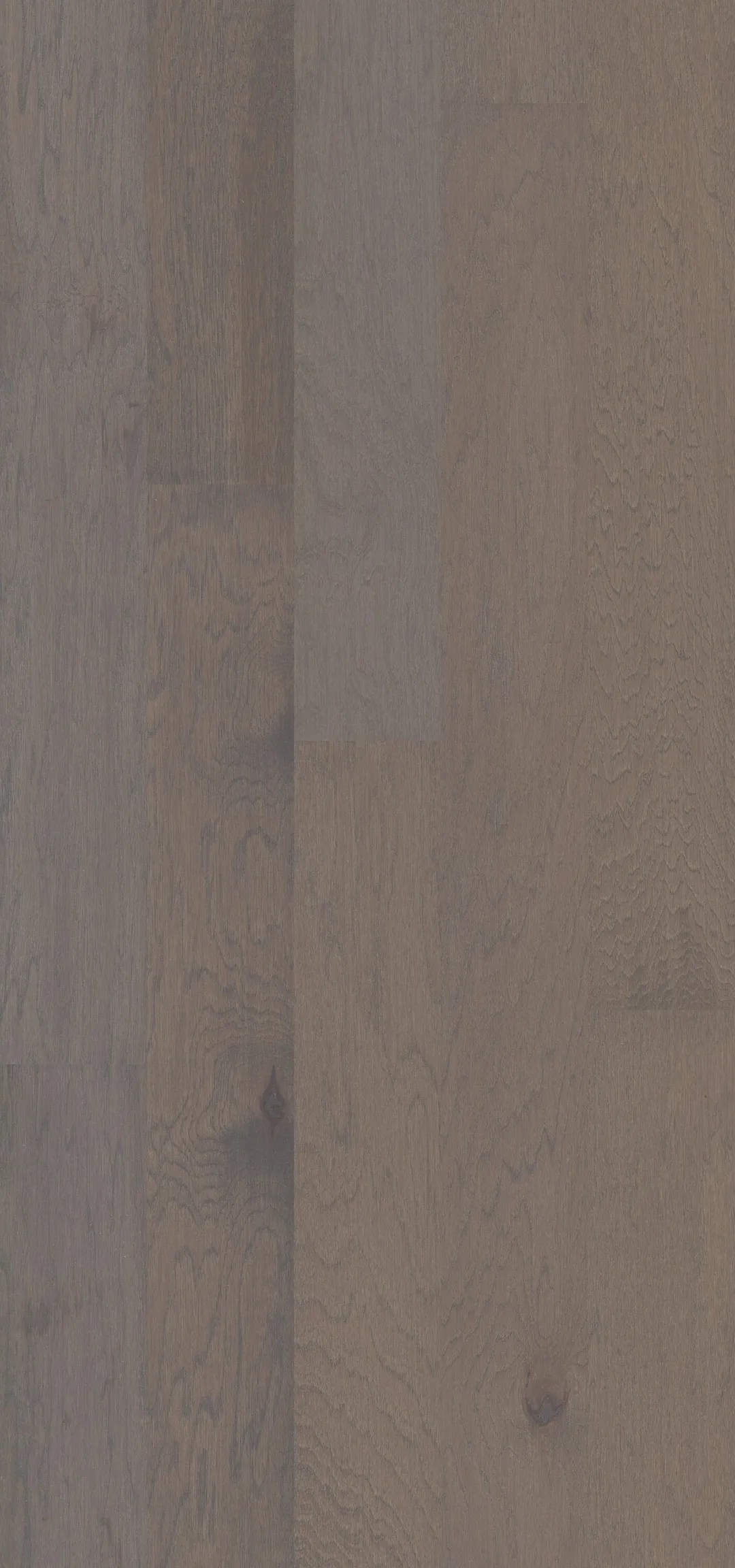 Shaw Atlantic Hickory Providence Hickory 3/8-in T x 6-3/16-in W Water Resistant Smooth/Traditional Engineered Hardwood Flooring ( 30.48-sq ft / Carton ), photo 7 of 7