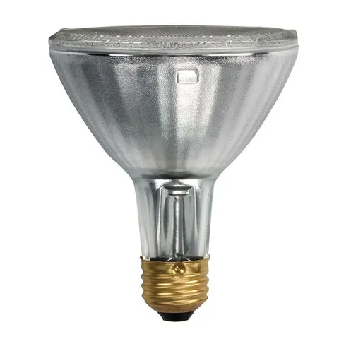 39-Watt PAR30L Halogen Soft White (2900K) Flood Light Bulb