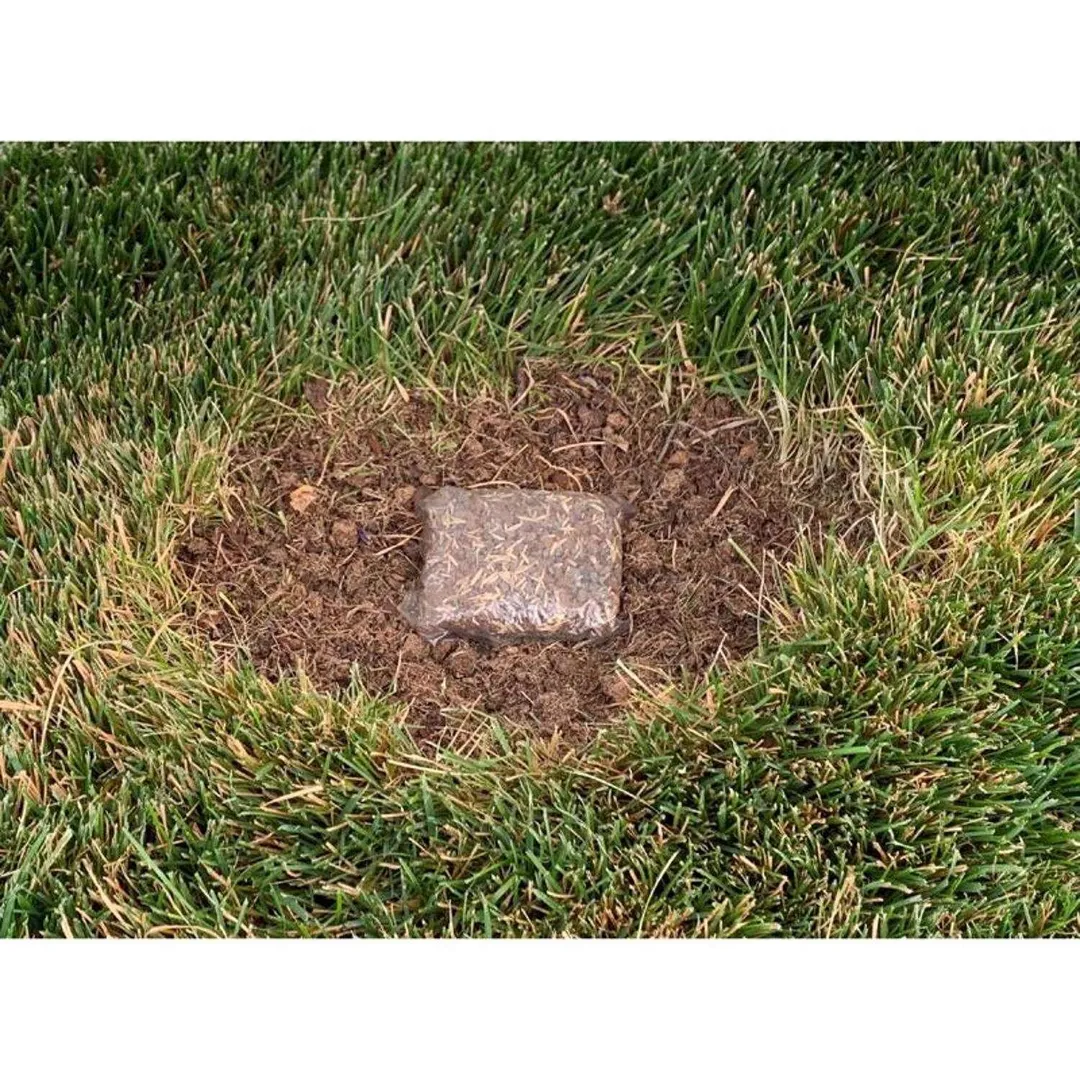 Ace Rapid Repair Pod All Grasses Full Sun Fertilizer/Mulch/Seed 15 pk, photo 3 of 6