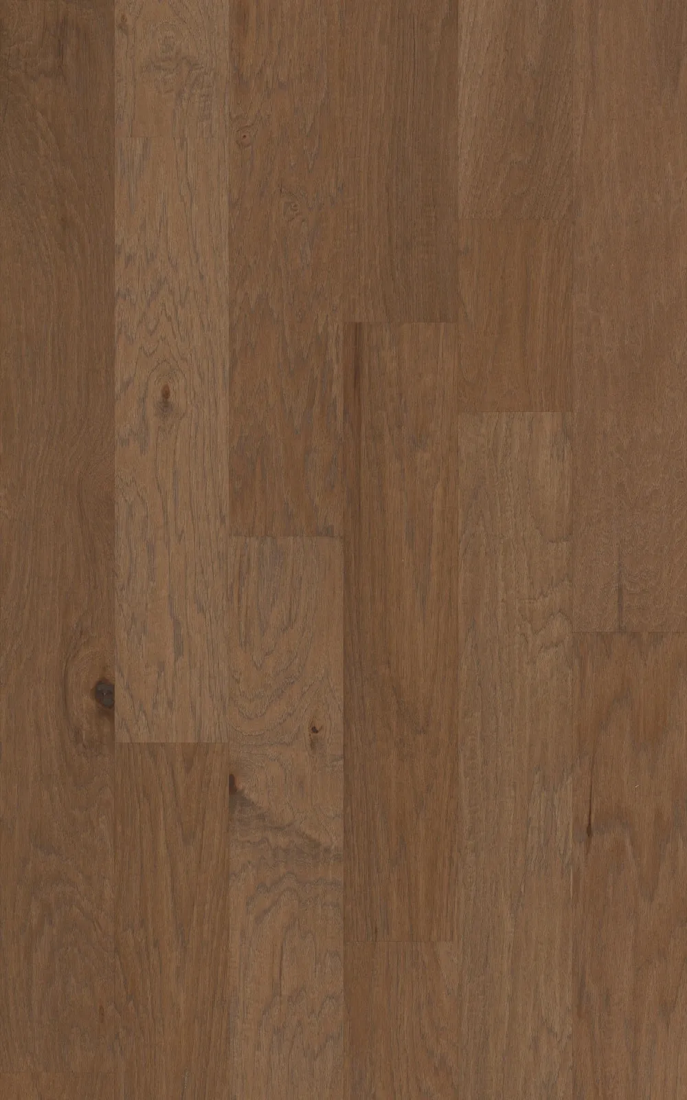 Shaw Harper Sepia Hickory 3/8-in T x 6-3/16-in W Handscraped Engineered Hardwood Flooring ( 30.48-sq ft / Carton ), photo 3 of 7