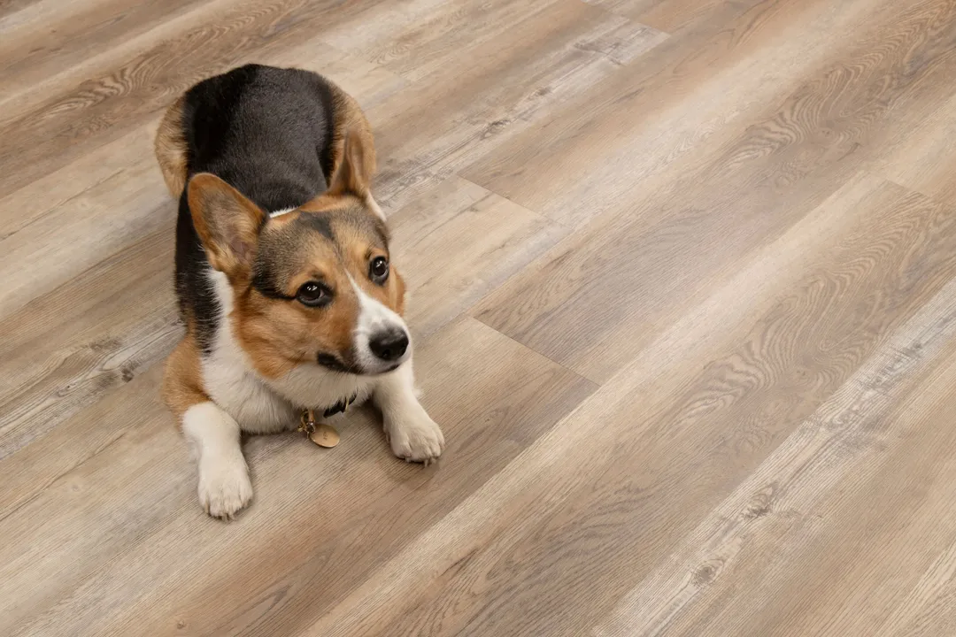CALI Aqua Tough Tourmaline Toast 20-mil x 7-in W x 48-in L Waterproof Luxury Vinyl Plank Flooring ( 23.77-sq ft Per Carton ), photo 5 of 8