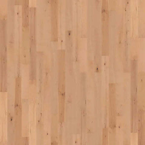 Natural Maple