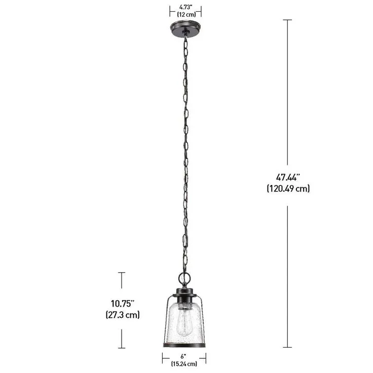 Globe Electric Roth 1-Light Oil Rubbed Bronze Outdoor Indoor Hanging Pendant, photo 3 of 6