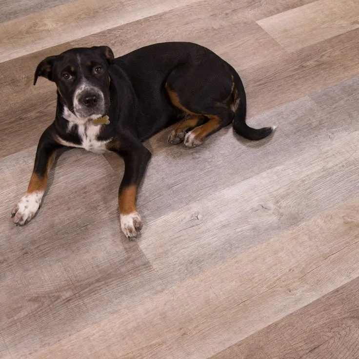CALI Vinyl Pro Classic 10-Piece 7.12-in x 48-in Nantucket Harbor Luxury Vinyl Plank Flooring, photo 3 of 7