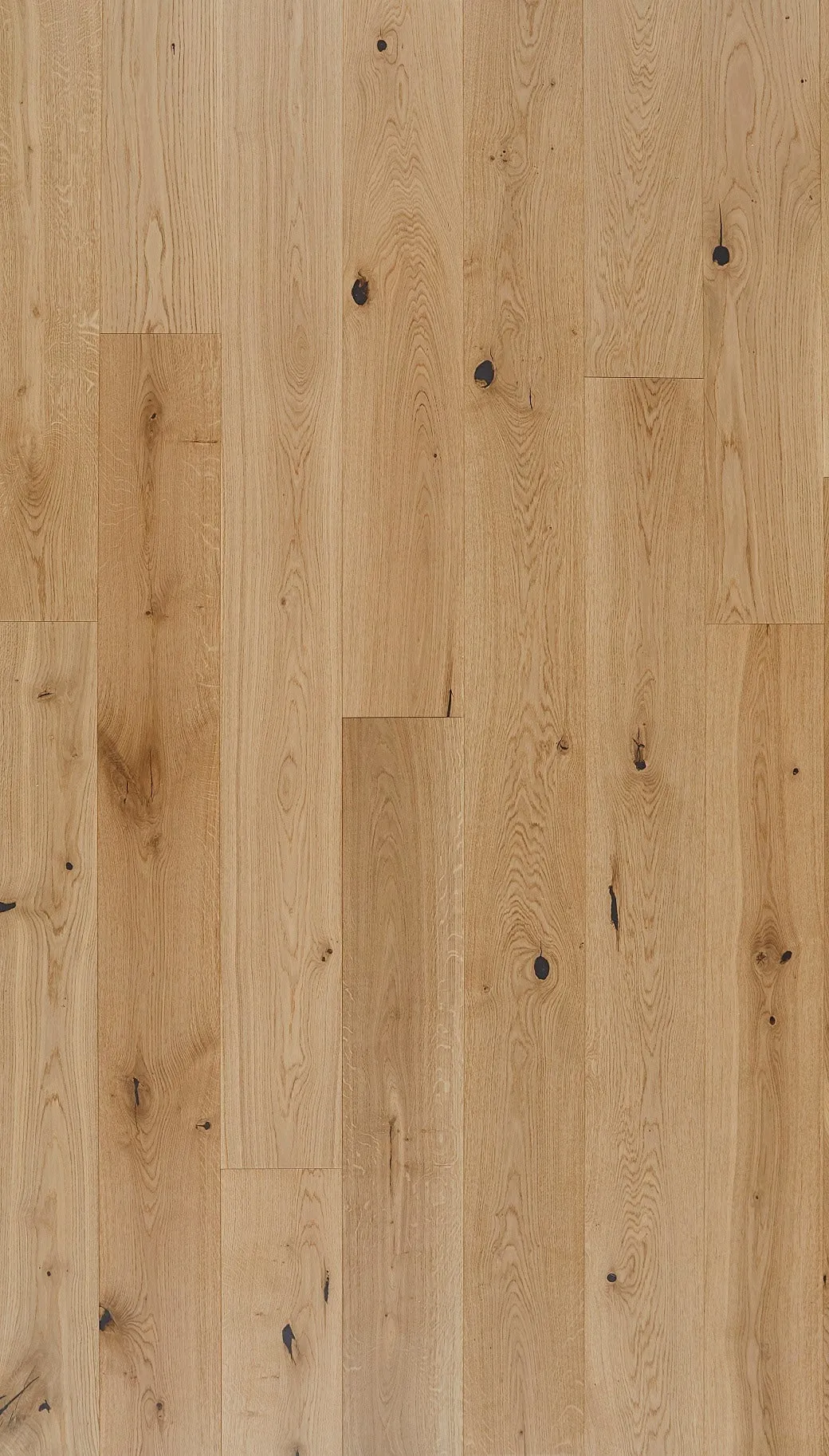 Element Flooring Sahara Yuma Sand European white oak 1/2-in T x 7-1/2-in W Smooth/Traditional Engineered Hardwood Flooring ( 31.09-sq ft / Carton ), photo 14 of 14