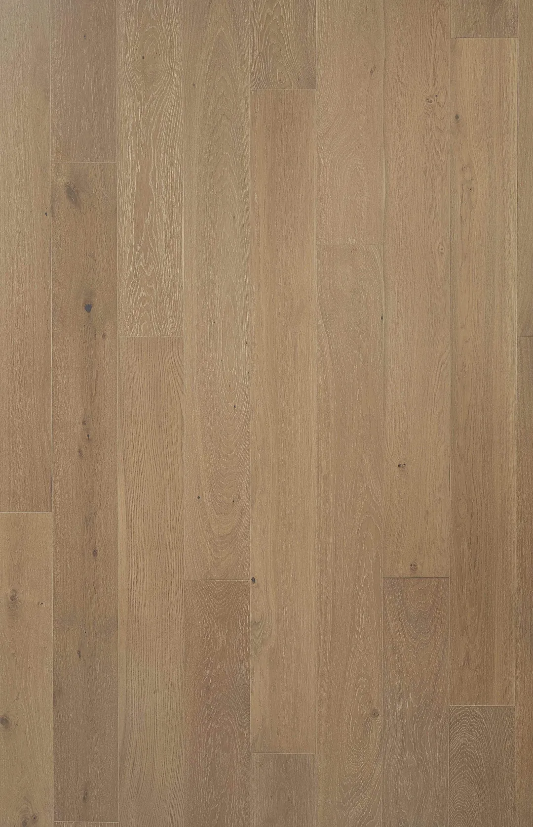 Element Flooring Sahara Gladiator 1/2-in x 7-1/2-in European White Oak Engineered Hardwood Flooring (31.09 sq. ft./Carton), photo 7 of 12