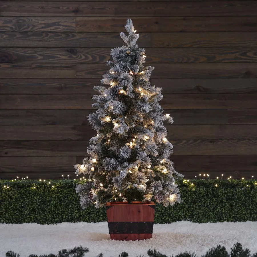 Holiday Living 4-ft Pine Pre-Lit Traditional Slim Flocked Artificial Christmas Tree with 100 Constant White Clear Incandescent Lights, photo 4 of 5