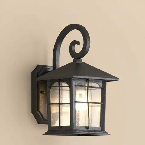 Brimfield Outdoor Wall Lantern