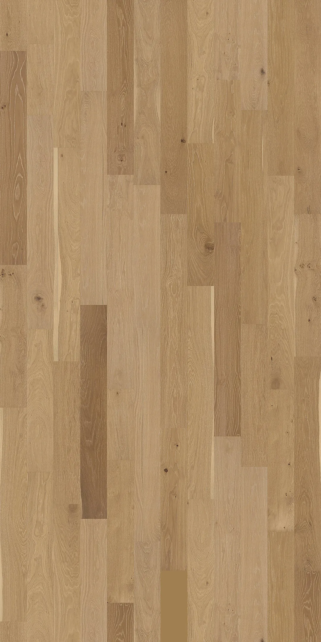 Element Flooring Stoneboro Wateree European white oak 3/8-in T x 7-1/2-in W Wirebrushed Engineered Hardwood Flooring ( 39.06-sq ft / Carton ), photo 8 of 15