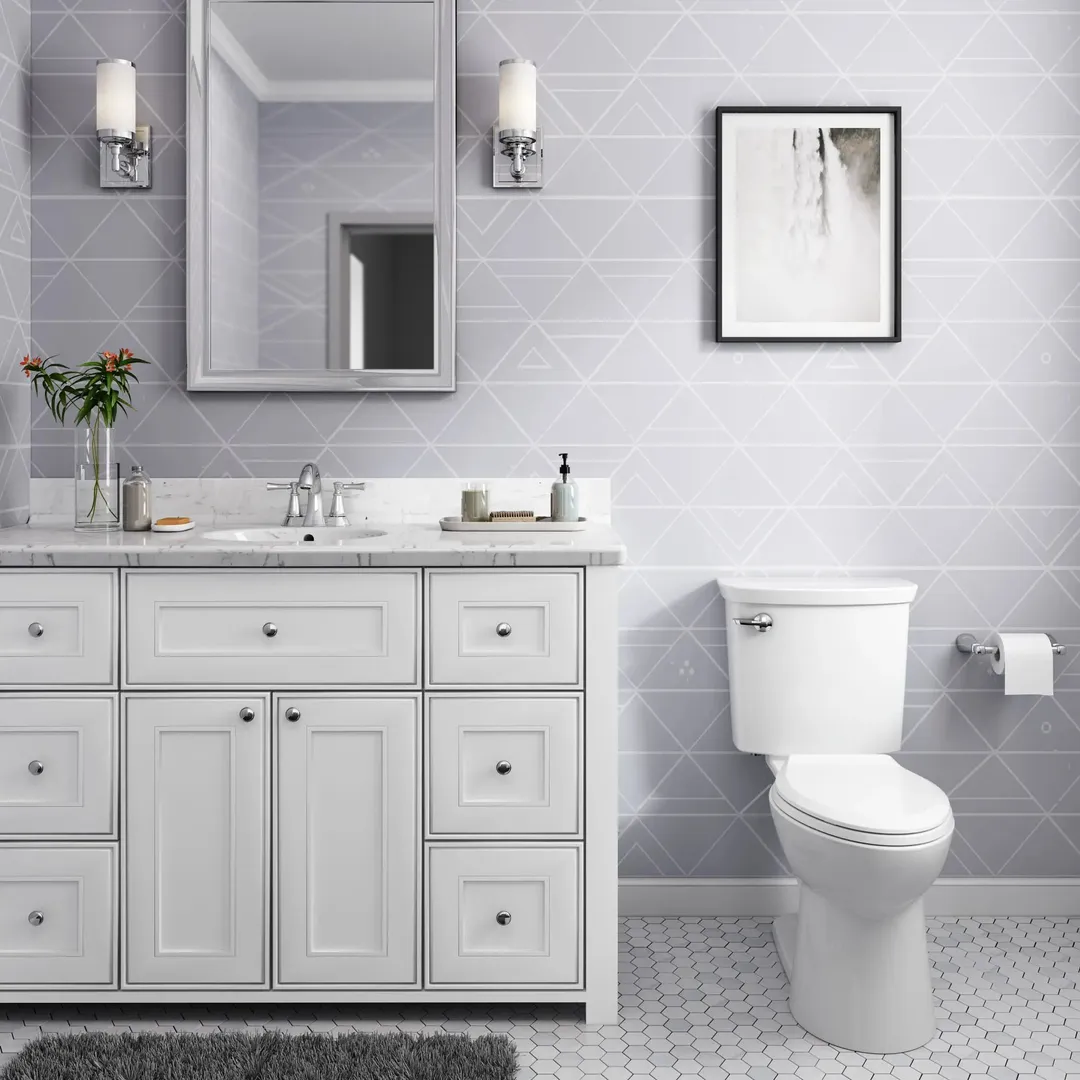American Standard Homestead VorMax White WaterSense Elongated Chair Height 2-Piece Toilet, 12-in Rough-In (ADA Compliant), photo 13 of 17