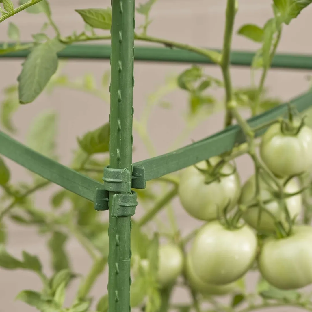 Gardener's Blue Ribbon 60 in. H X 12 in. W Green Steel Tomato Cage, photo 5 of 5