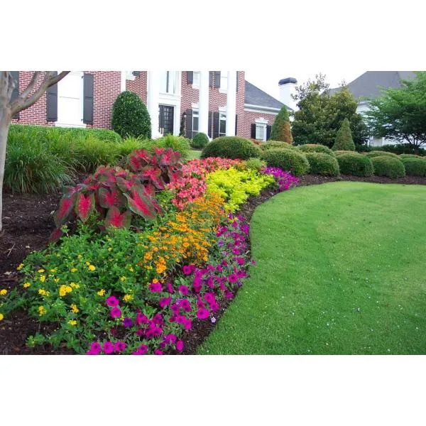 Pure Beauty Farms Grower's Choice Garden Potting Soil Annuals Perrenials Vegetables 1.25 Cu. Ft. Flowering Mix, photo 2 of 3
