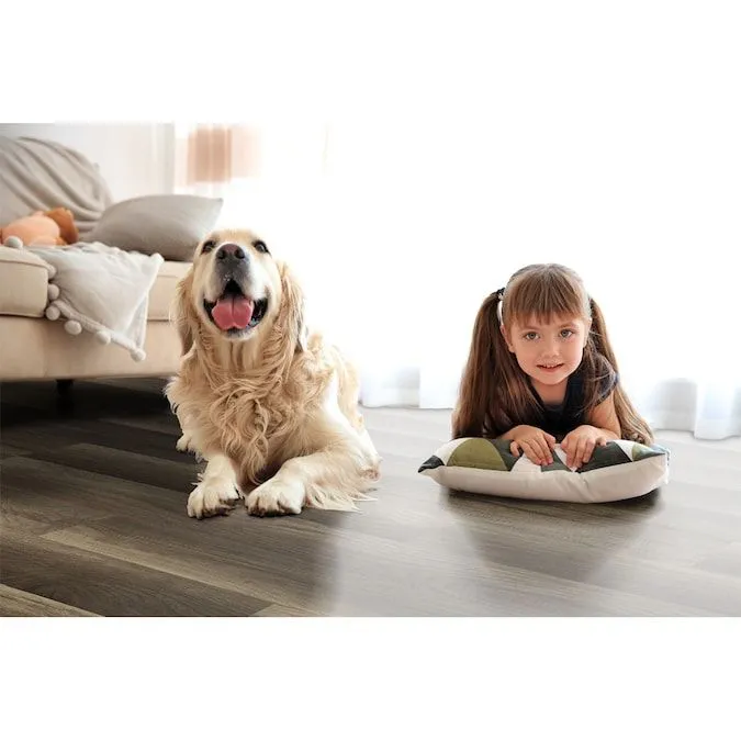 Style Selections Aged Gray Oak 8-mm T x 7-in W x 50-in L Wood Plank Laminate Flooring (21.44-sq ft / Carton), photo 6 of 9