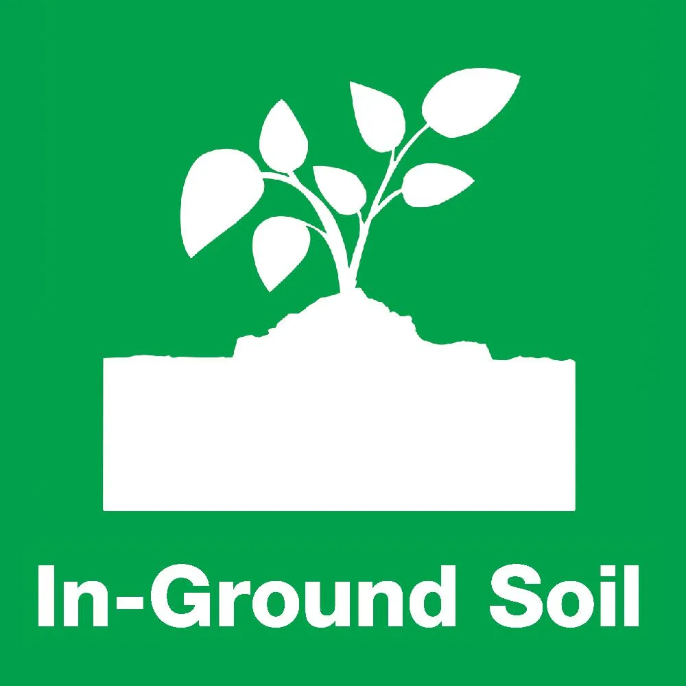 WONDER SOIL 3 Gal. Premium Expanding Coco Coir Living Soil with Added Nutrients for Indoor and Outdoor Use, photo 2 of 3