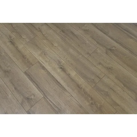 Valencia oak