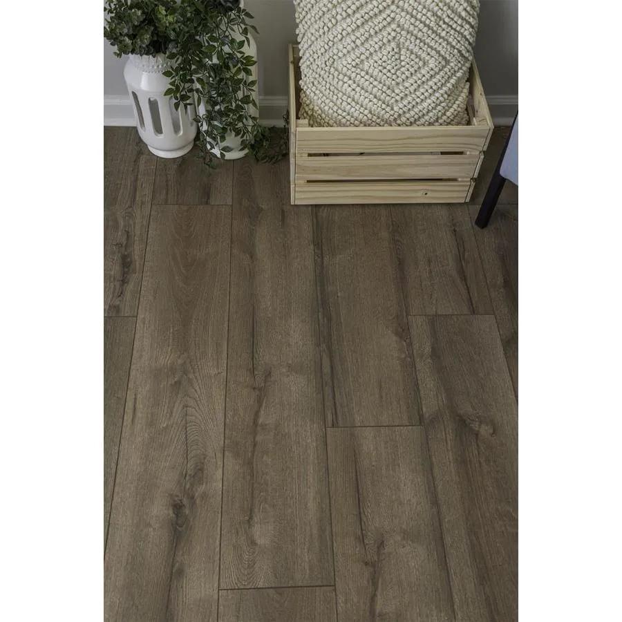 allen + roth Valencia Oak 8.03-in W x 47.63-in L Smooth Wood Plank Laminate Flooring, photo 6 of 7