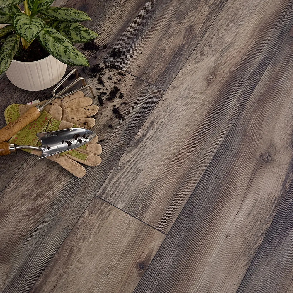 QuickStep Studio + Spill Repel Silverstone Pine 12-mm T x 7-1/2-in W x 47-1/4-in L Waterproof Laminate Wood Flooring ( 19.63-sq ft / Carton ), photo 4 of 8