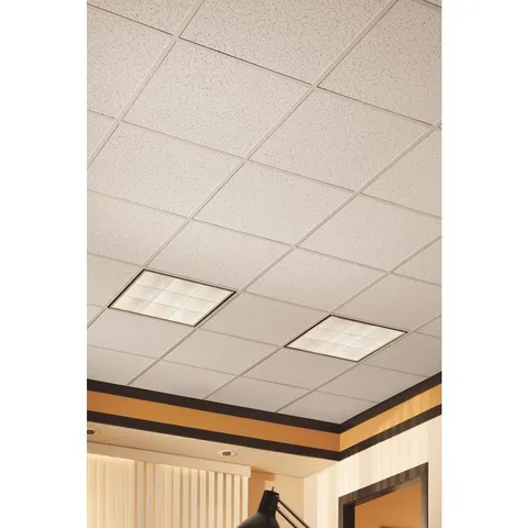 Random Textured 24 × 24 in Fissured Drop Acoustic Ceiling Panels
