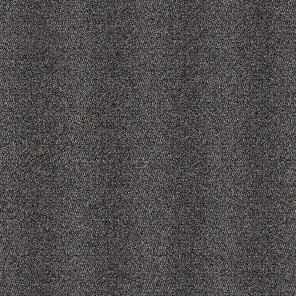 Mohawk Scholastic Tile 24-in x 24-in Commercial Carpet Tile (96-sq ft / Carton), photo 2 of 10