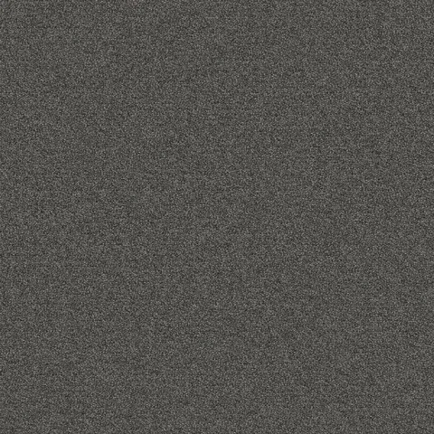 Scholastic Tile Commercial Carpet Tile