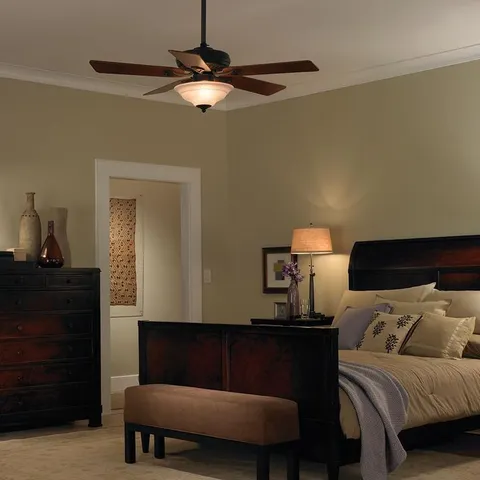 Diva Fan Control and Light Switch for LEDs