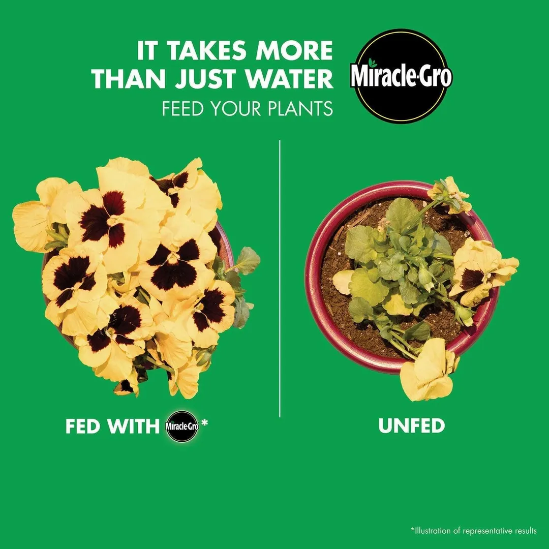 Miracle-Gro Powder Plant Food 1.5 lb, photo 2 of 8