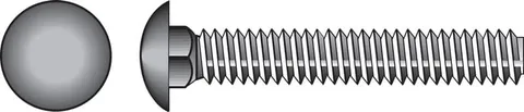 5/16 × 3 in Galvanized Carriage Bolts (100-Pack)