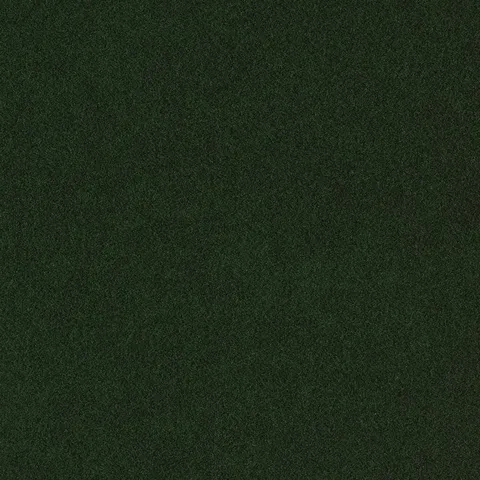Rain Forest Green