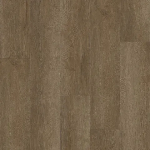 Tawny Oak