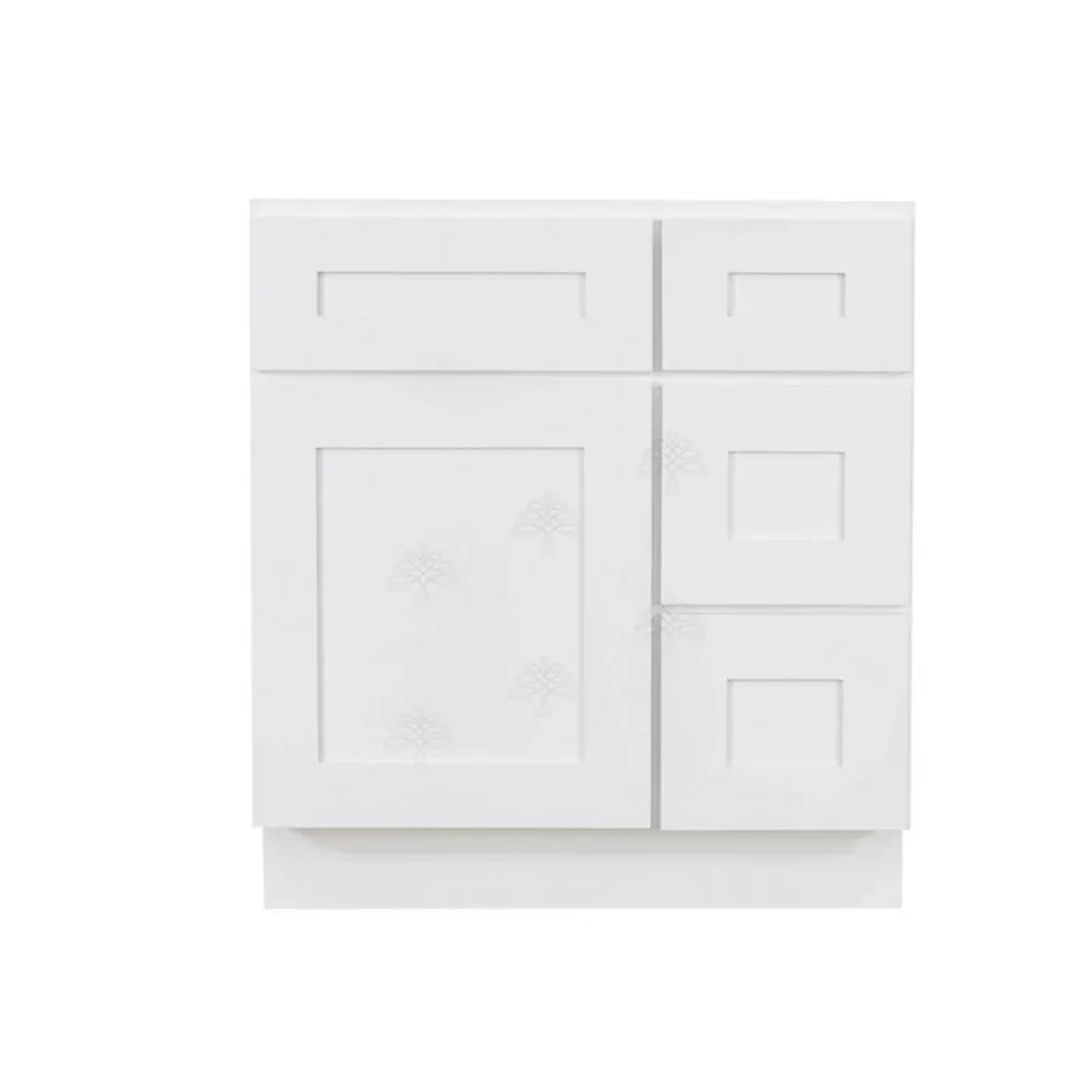 LIFEART CABINETRY Lancaster Shaker Assembled 24 in. W x 21 in. D x 33 in. H Bath Vanity Cabinet with 2 Doors in White, photo 19 of 20