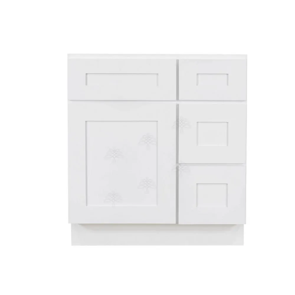 LIFEART CABINETRY Lancaster Shaker Assembled 24 in. W x 21 in. D x 33 in. H Bath Vanity Cabinet with 2 Doors in White, photo 20 of 20