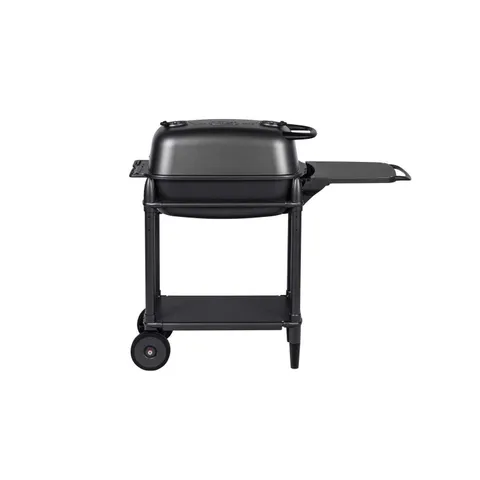 PK Grills 22 300 Charcoal Grill and Smoker Black
