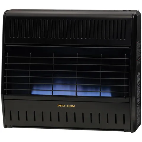 30000 BTU Ventless Blue Flame Dual Fuel Heater with Thermostat Control