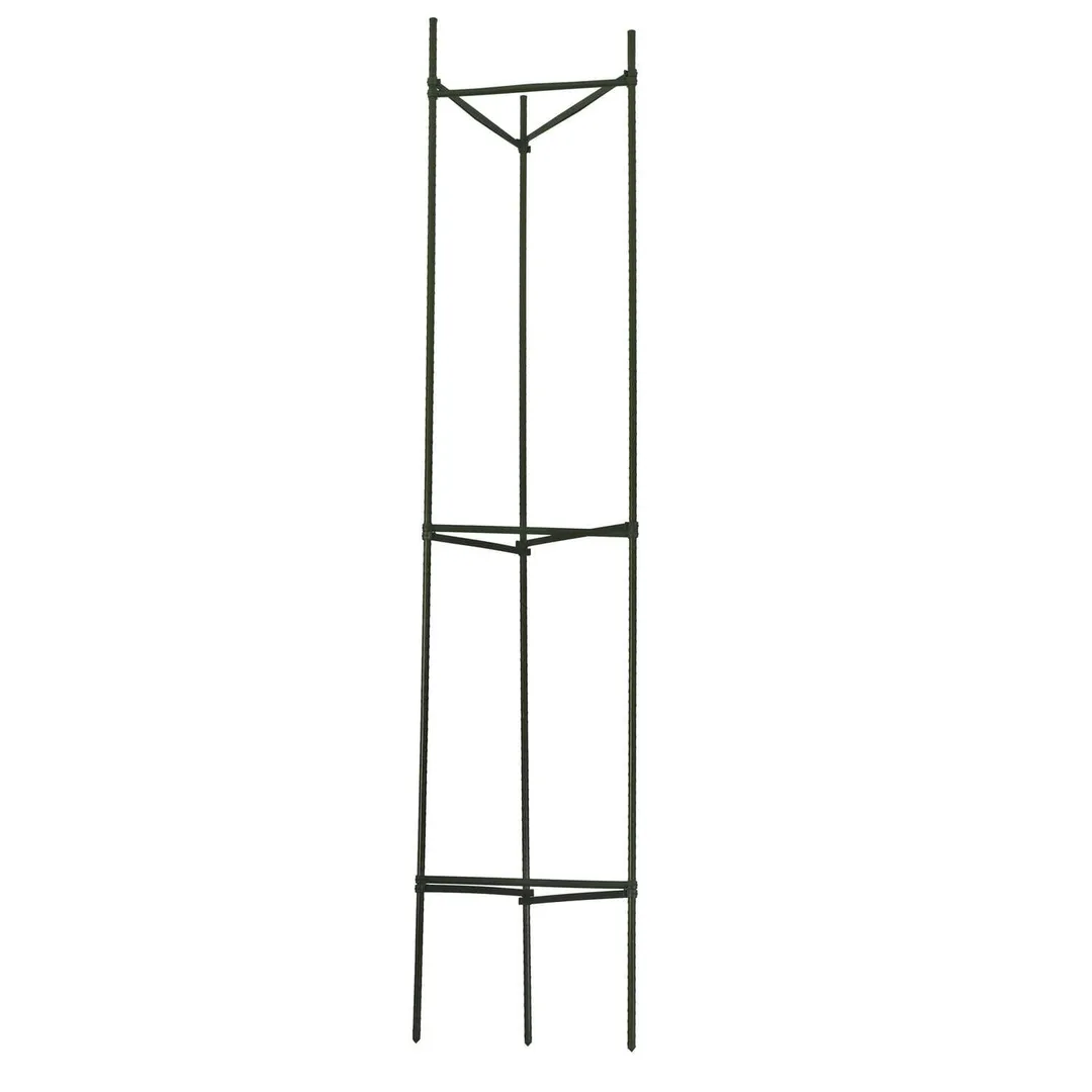 Gardener's Blue Ribbon 60 in. H X 12 in. W Green Steel Tomato Cage, photo 2 of 5