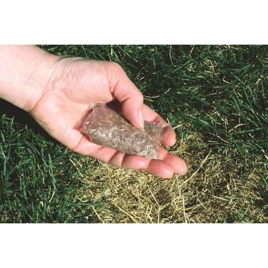 Ace Rapid Repair Pod Tall Fescue Grass Sun or Shade Fertilizer/Mulch/Seed 15 oz, photo 2 of 6
