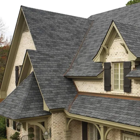 Woodland LT AR Shingles